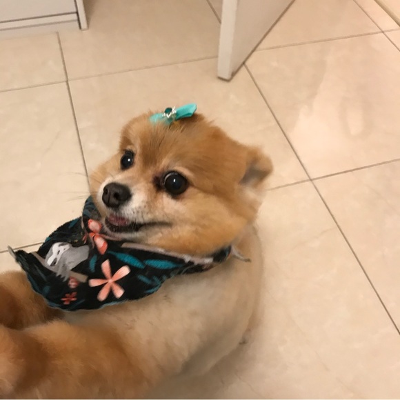 Meet your Posher! 🙋🏻♀️ - Picture 4 of 11